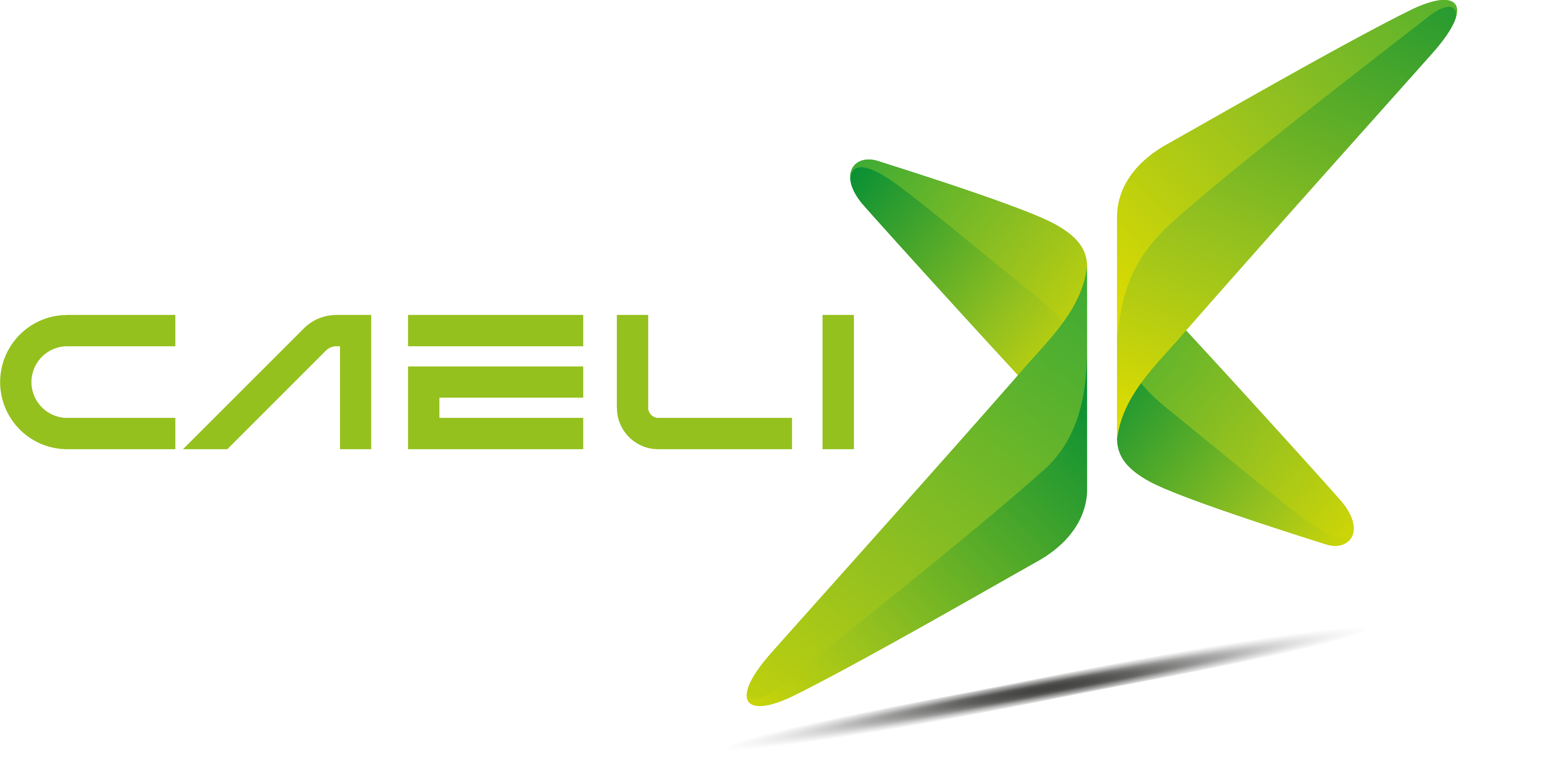 Caelix Logo 1